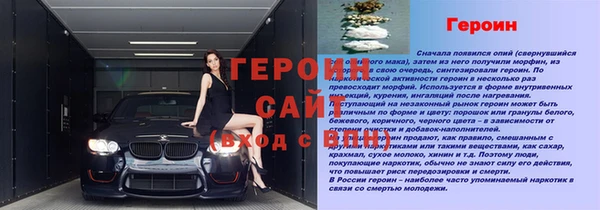 хмурый Абаза