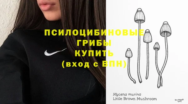 МДПВ Абинск