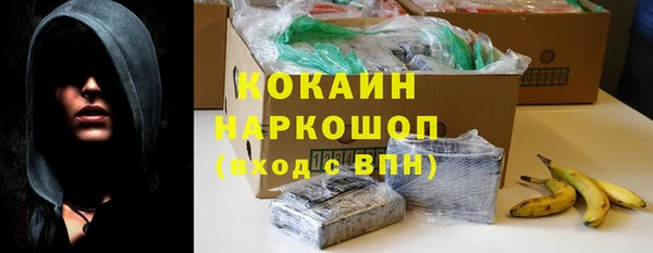 хмурый Абаза