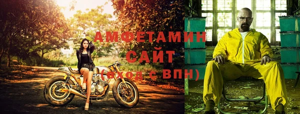 хмурый Абаза